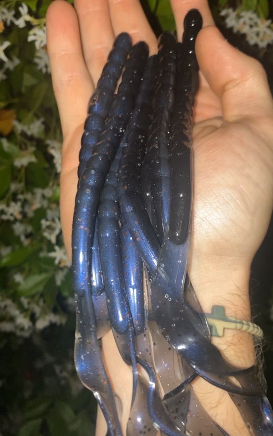 10" Curly Tail "Midnight" Worm